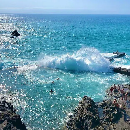 Florida Ocean View Gigantes