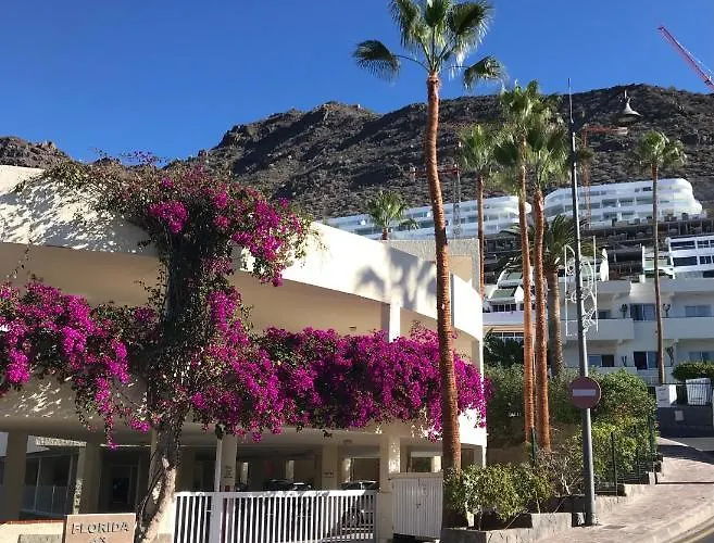 Florida Ocean View Gigantes